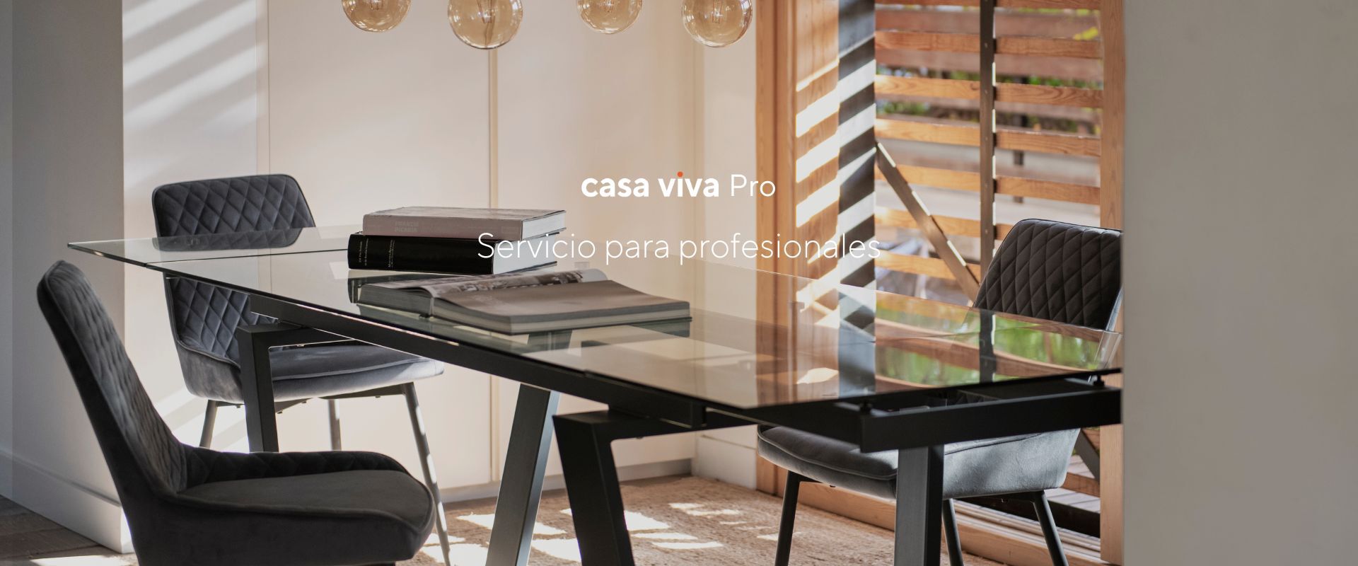 Ventajas para profesionales del sector